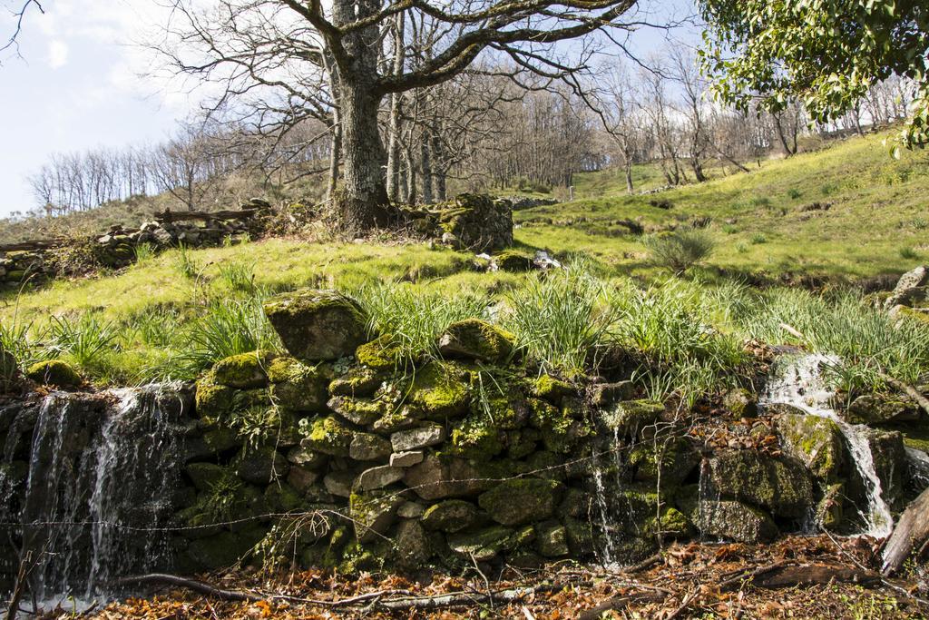 Casa Rural Fuente El Boticario Aldeanueva de la Vera Eksteriør billede