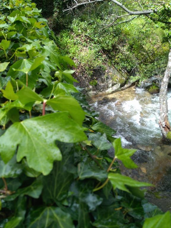 Casa Rural Fuente El Boticario Aldeanueva de la Vera Eksteriør billede